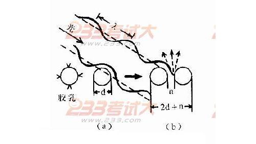 乳胶颗粒增强免疫比浊法