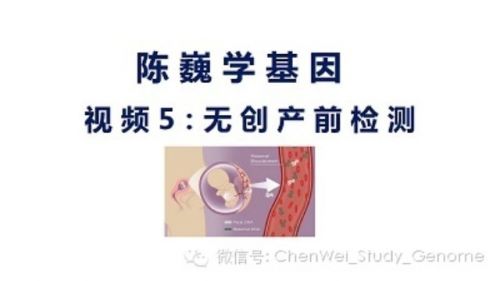 【陈巍学基因】视频5：无创产前检查