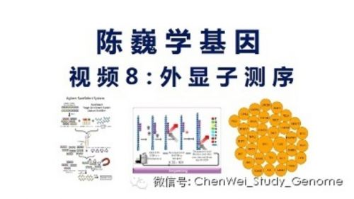 【陈巍学基因】视频8：外显子测序