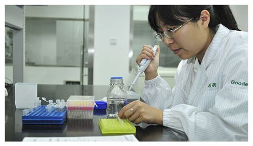 桔林杂谈（2）—IVD研发新手的成长之路