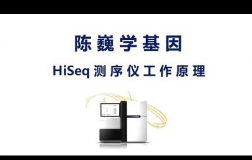 【陈巍学基因】视频2：HiSeq测序仪工作原理