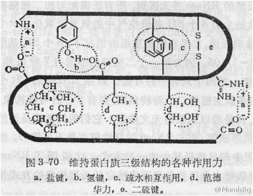 【独家】白话胶体金系列——第二话<标记>上篇