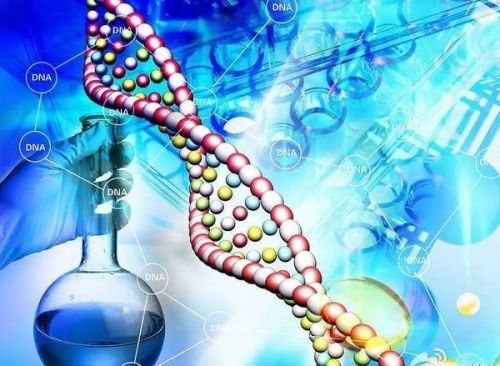 2017浦江遗传与分子诊断产学研论坛