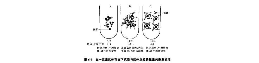 IVD质量管理系列の技术篇 免疫学知识（下）