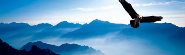 上海卓茵医疗仪器有限公司