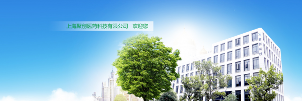 上海聚创医药科技有限公司