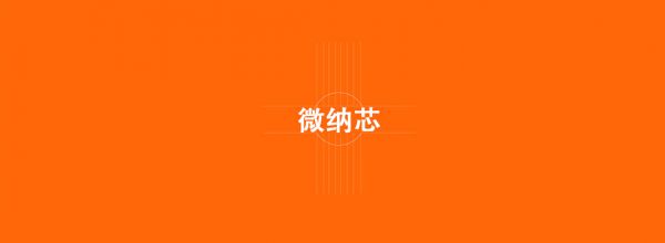 天津微纳芯科技股份有限公司
