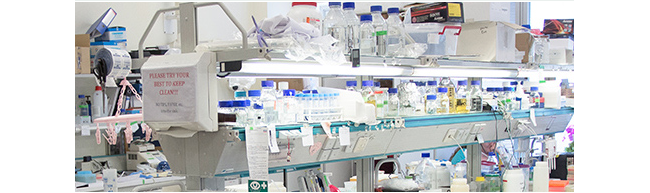 杭州伊佰新生物技术有限公司