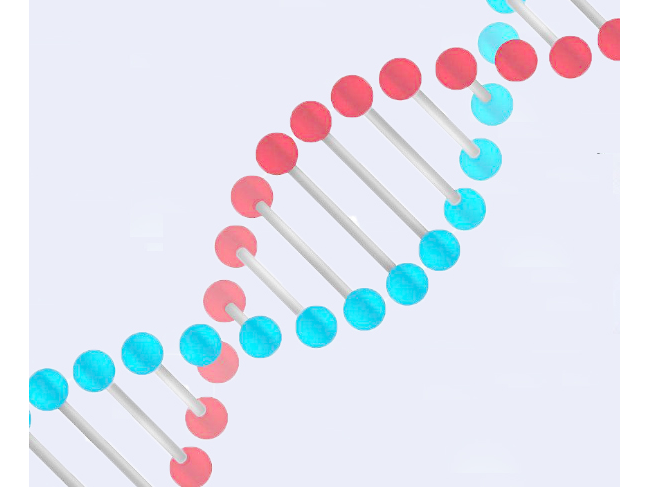 洛阳爱森生物科技有限公司