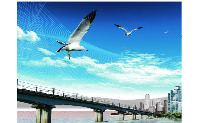 北京赛诺浦生物技术有限公司