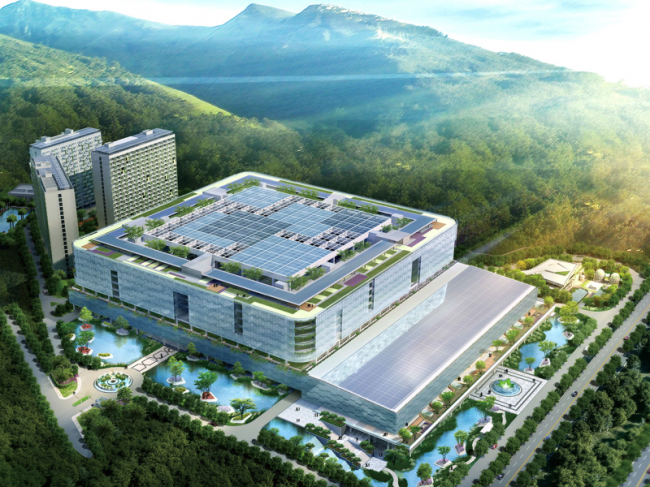 华大医学
