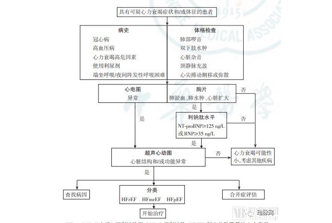 心衰作为心血管最后的战场，如何带来千亿市场空间