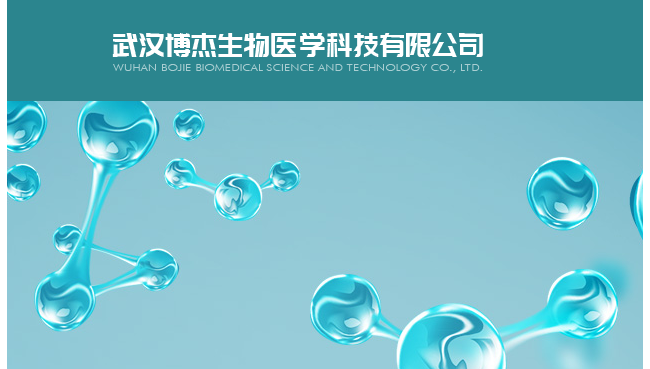 武汉博杰生物医学科技有限公司