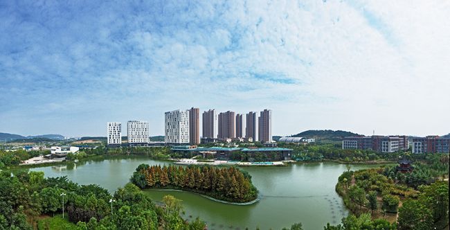 中国医疗器械有限公司