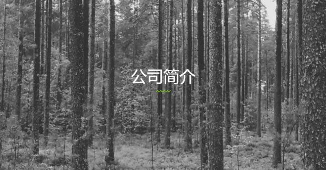 重庆微浪生物科技有限公司