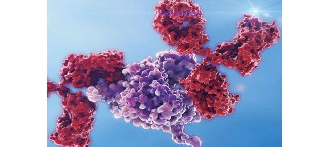 武汉戴安生物技术有限公司