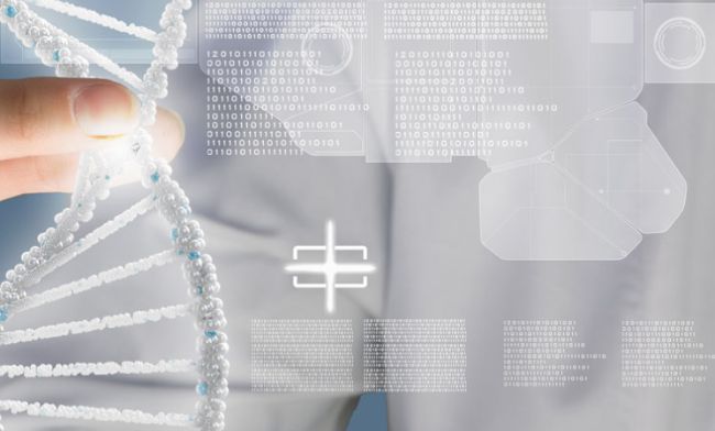 赛雷纳（中国）医疗科技有限公司