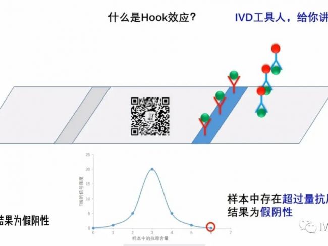 IVD工具人课堂 - 免疫层析的hook是什么？PPT动画展示