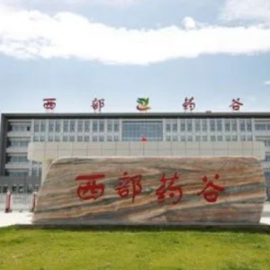 兰州新区