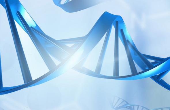 上海迪赢生物科技有限公司