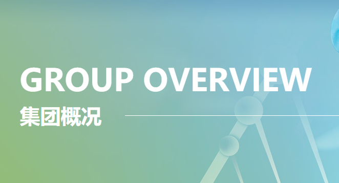 厦门迈达瑞科技有限公司