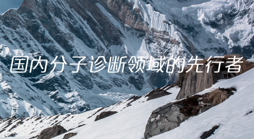 北京鑫诺美迪基因检测技术有限公司