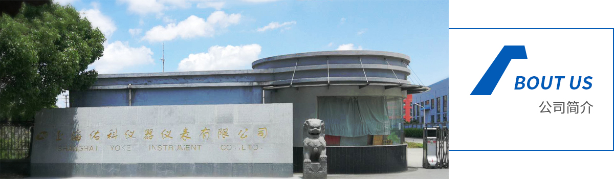 上海佑科仪器仪表有限公司