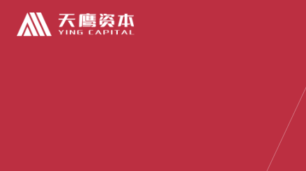 天鹰资本