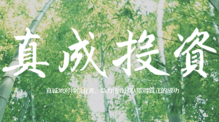 真成投资
