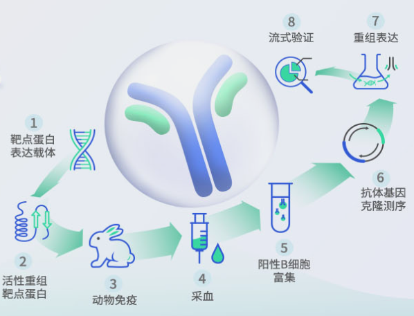 缔码生物科技有限公司