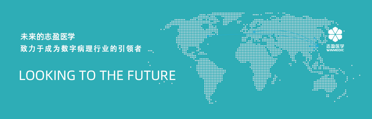 山东志盈医学科技有限公司