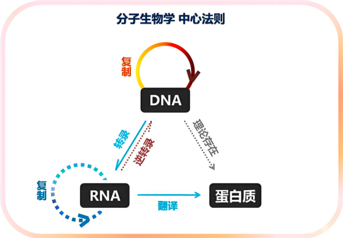 如果先贤搞IVD质量……