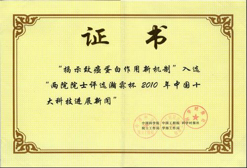 武汉生命之美科技有限公司
