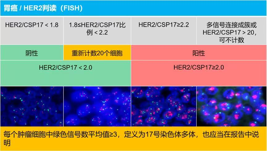 国内首个胃癌HER2伴随诊断三类证上市