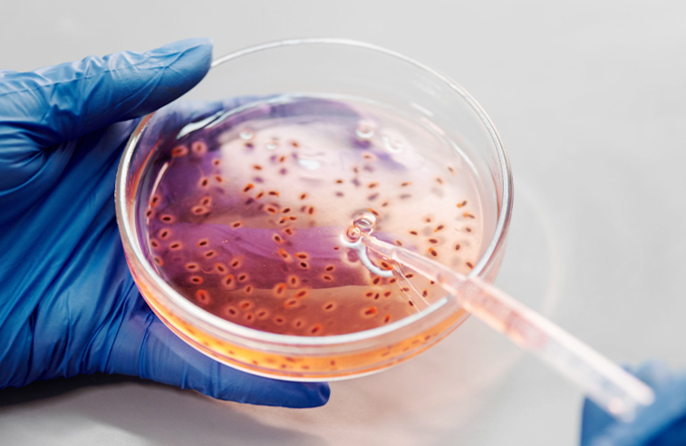 北京起源聚禾生物科技有限公司