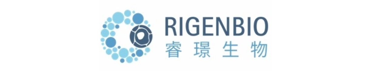 睿璟生物完成近亿元B轮融资，加速甲状腺诊疗全流程布局