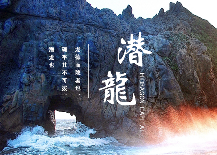潜龙投资