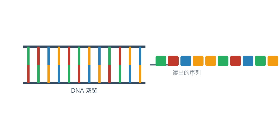一文读懂，测序到底怎么回事